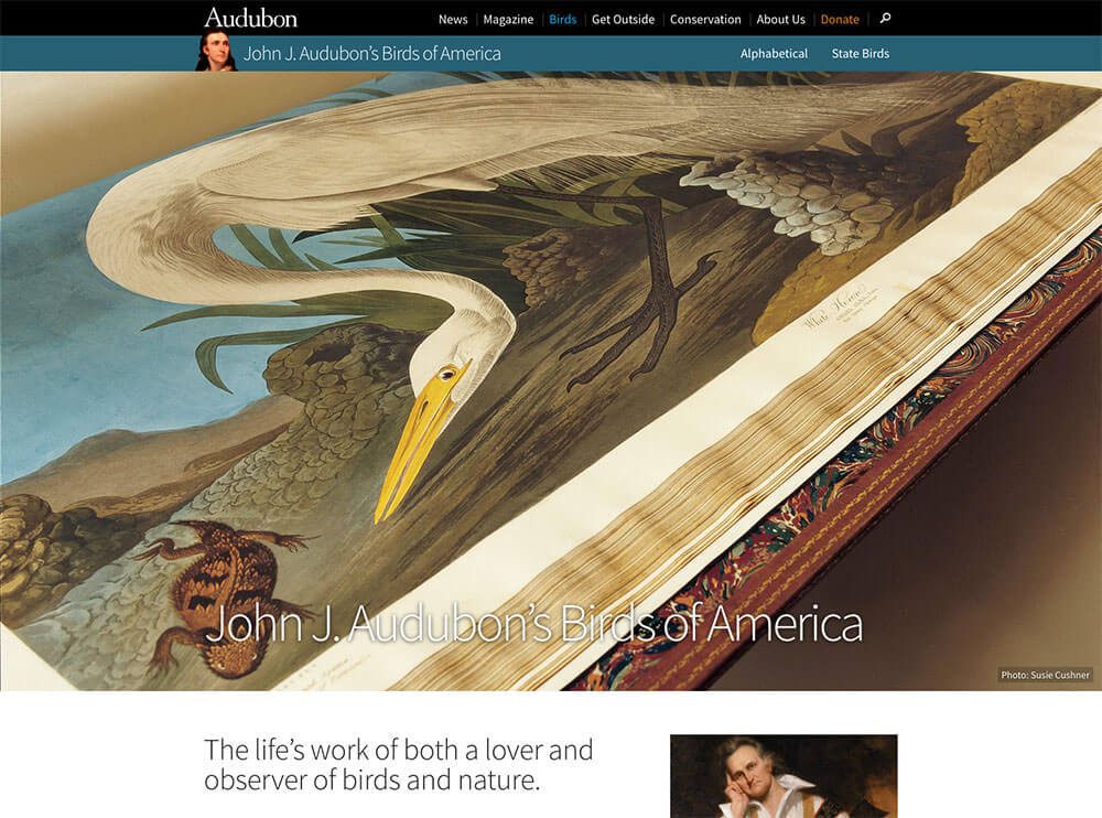 john_james_audubon_s_birds_of_america___audubon-1