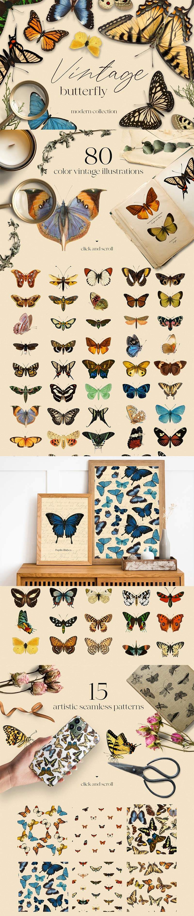 Vintage-Butterfly-Modern-Collection-1