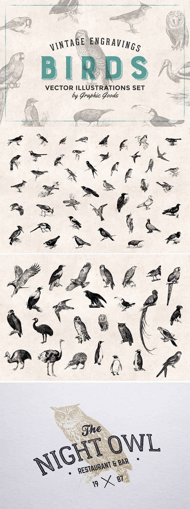 birds-first-image