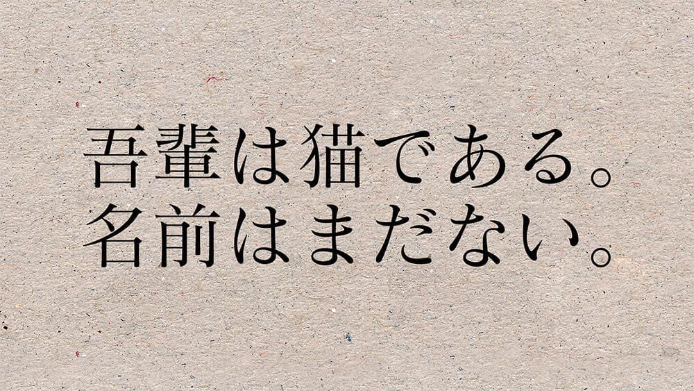 step12