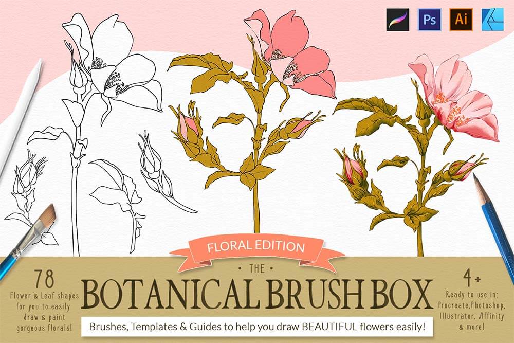 Botanical_Brush_Box_Main_Image