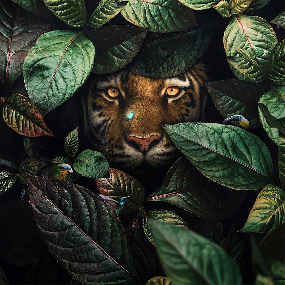 Tiger-in-Leaves-Tutorial