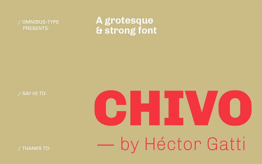 Chivo-Sans-Serif-Font-Family-2