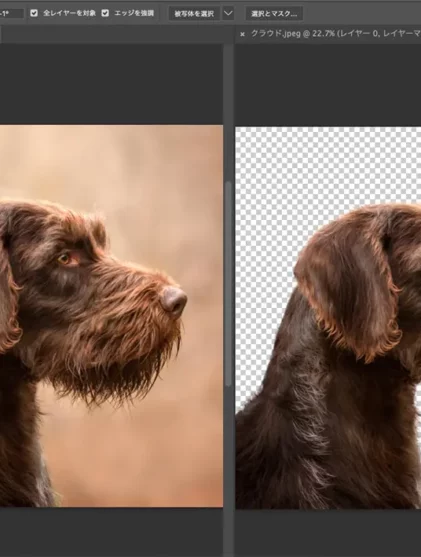 被写体を選択2023アップデート版