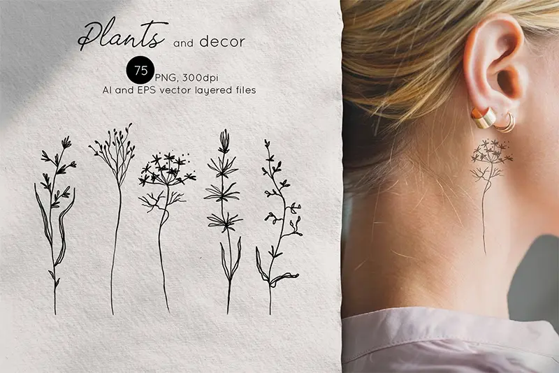 plants and decor-ink-decoration illustration