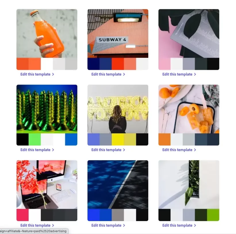 軽やかで調和的、かつ大胆でパワフルなClean & Modern