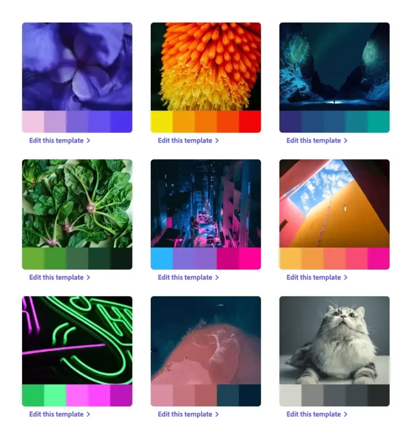 調和のとれた色の組み合わせDuotone Monochoromatic