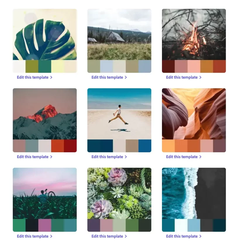 ナチュラル&アースカラー Natural Earthy