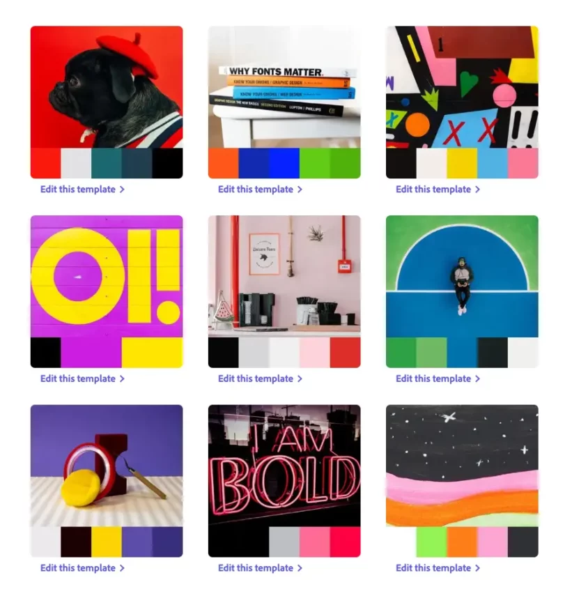 大胆かつモダン、Bold & Modern