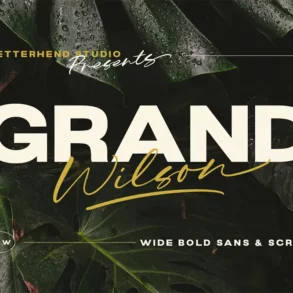 grand wilson typeface