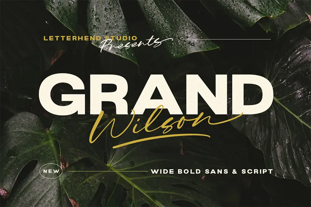 grand wilson typeface