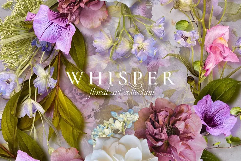 Whisper