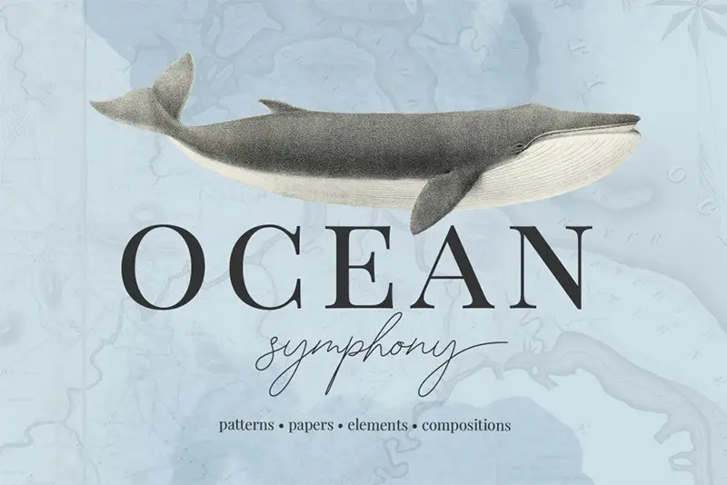ocean symphony