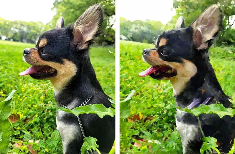 犬の写真もこの通り、見事に水彩ペイントになっている