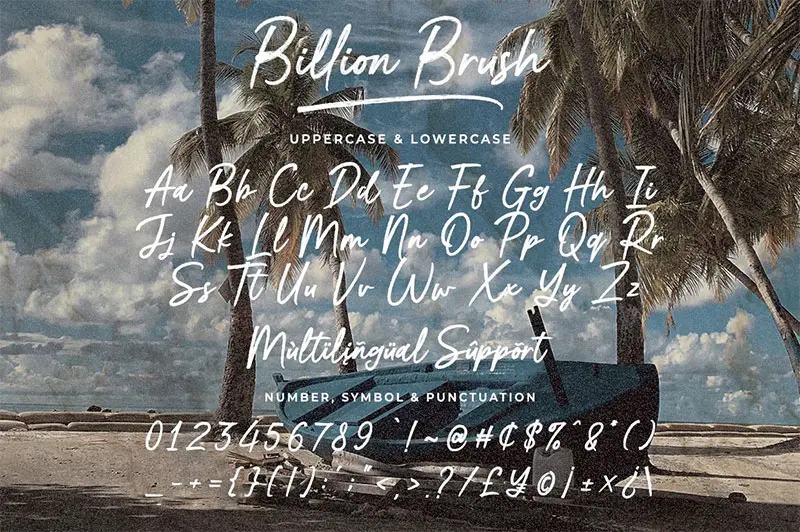 28SYTxPW-billion-brush