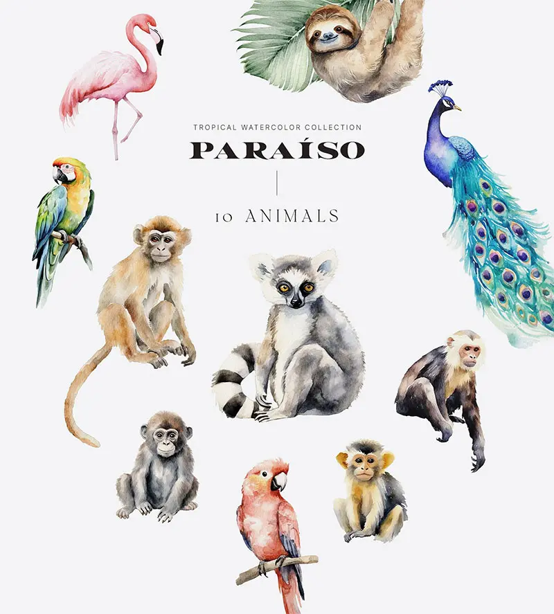 I37cAbR0-paraso-watercolor-tropical-set