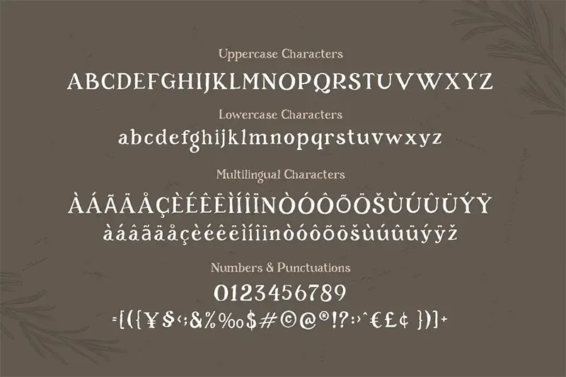 Rosemary-Handlettered-Serif-Font-4