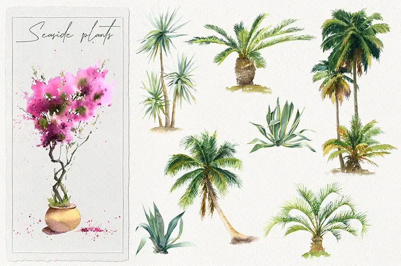 Seaside-Watercolor-Collection-3