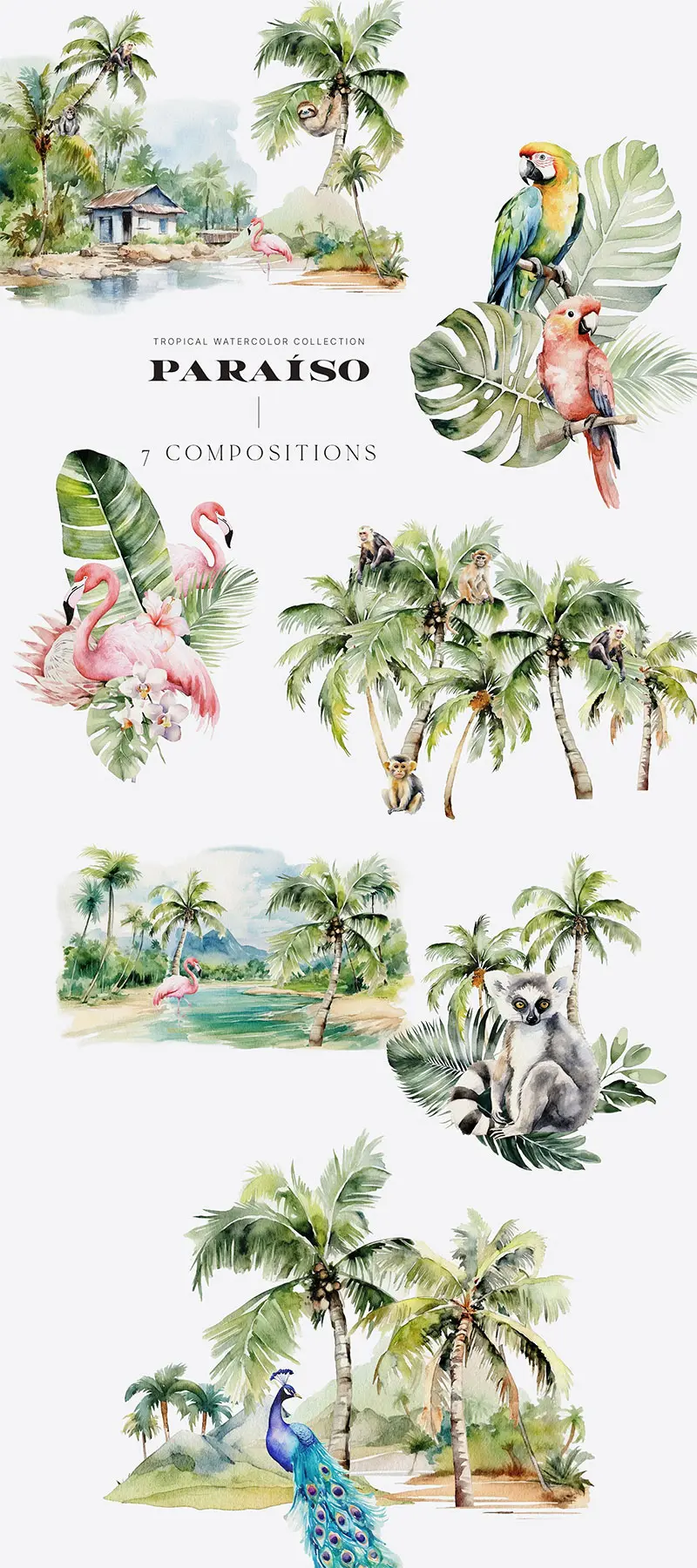 Xx7EQ2rJ-paraso-watercolor-tropical-set-1