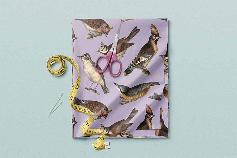 NDxMigpj-122-vintage-illustrations-of-birds