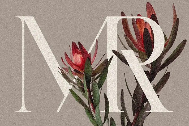 BgorkVmS-castillet-elegant-serif-typeface-1