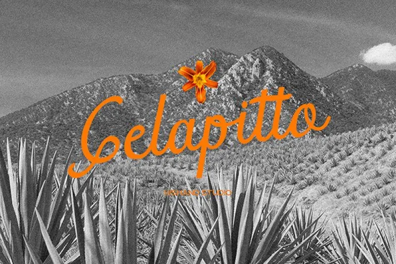 Gelapitto-Script-Font-6925aedeaaf37.webp