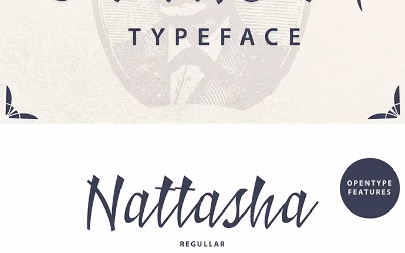 toolbox-badhead-typeface-1767348972298