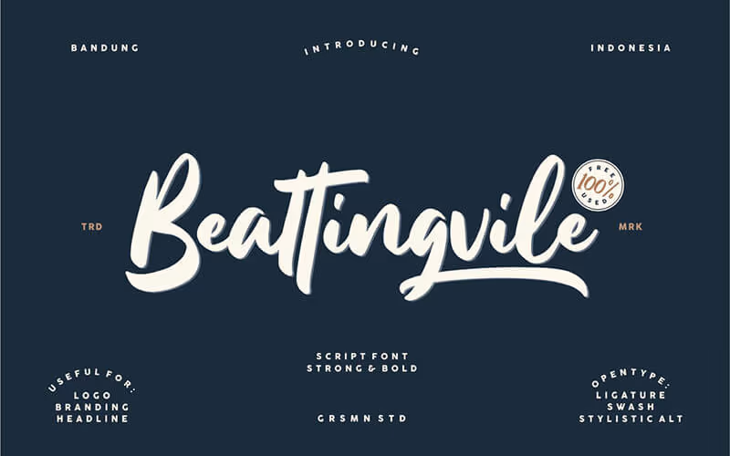 toolbox-beattingvile-free-beautiful-script-font-1767348876322