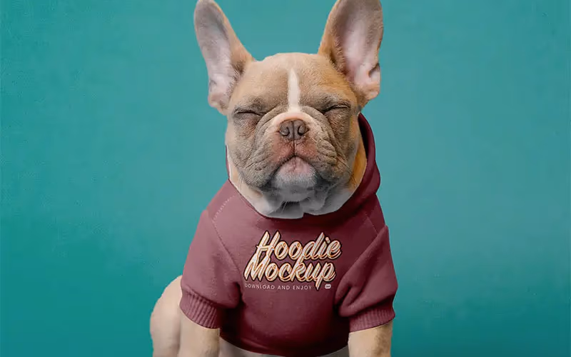 toolbox-facing-view-of-dog-hoodie-mockup-1768876862118
