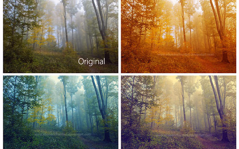 toolbox-forest-actions-exclusive-1767504379266