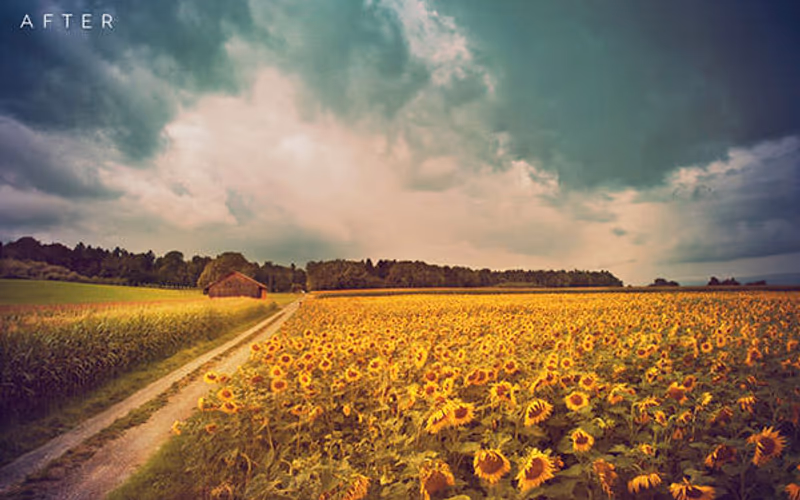 toolbox-free-sunrise-sunset-photoshop-action-1767504335152