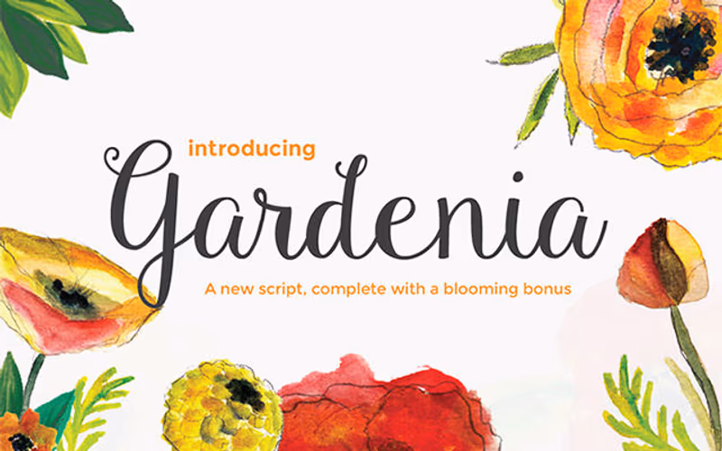 toolbox-gardenia-script-1767348919903