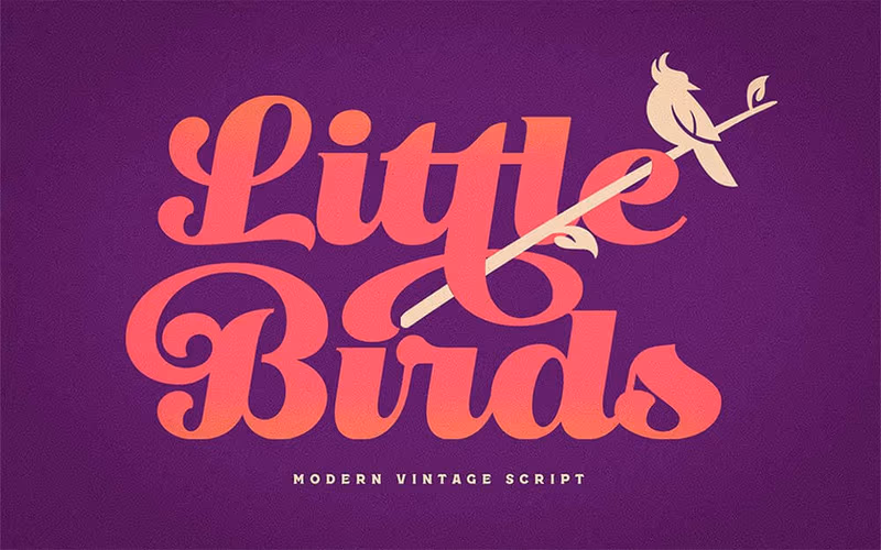 toolbox-little-bird-vintage-script-font-1767583808890
