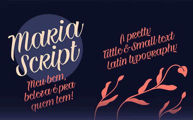 toolbox-maria-script-1767584127657