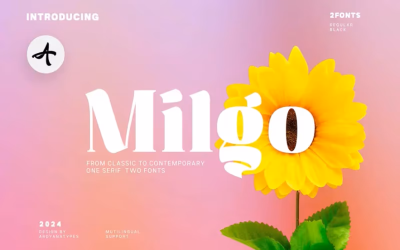 toolbox-milgo-elegant-display-font-1768877266730
