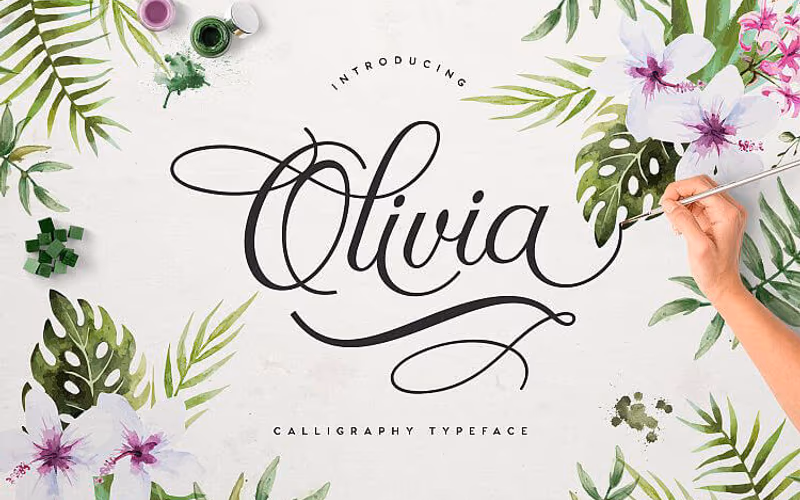 toolbox-olivia-script-font-1767348933864