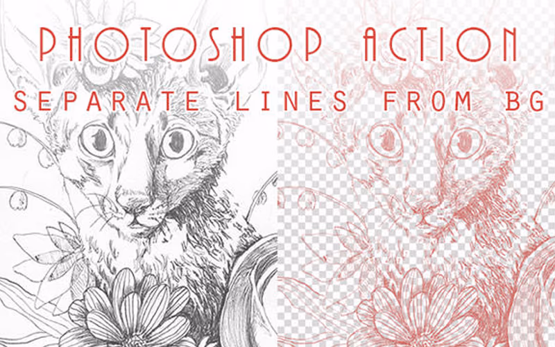 toolbox-separate-lines-from-bg-1767504219248