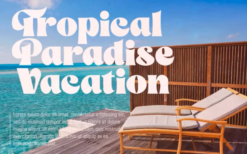 toolbox-the-franky-dunkey-1768877212251