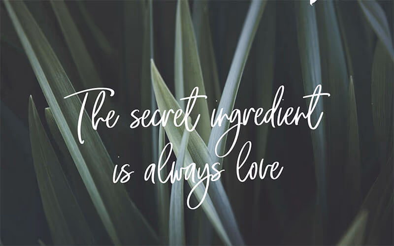 toolbox-the-secret-script-font-1767348991472